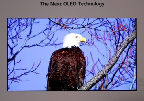 सामसङ र एलजी डिस्प्लेले ओएलईडी टिभी प्यानलको लागि वार्ता पुन: शुरु गर्दै