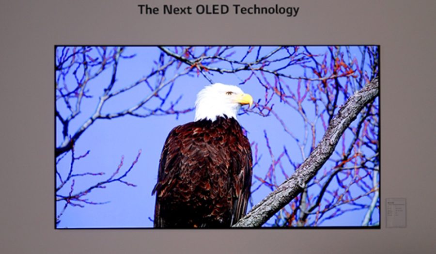 सामसङ र एलजी डिस्प्लेले ओएलईडी टिभी प्यानलको लागि वार्ता पुन: शुरु गर्दै