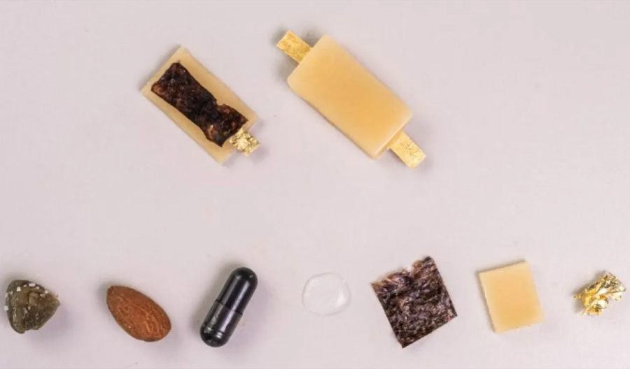 इटालीका वैज्ञानिकहरुले आविष्कार गरे खान मिल्ने रिचार्जेबल ब्याट्री