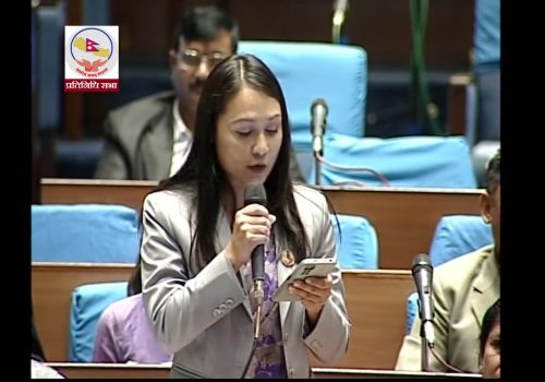 सरकारी कार्यालयमा थन्किएका पुराना गाडीलाई ईभीमा कन्भर्जन गर्न सांसद निसा डाँगीको माग