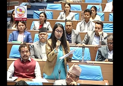 स्वार्थ समूहको योजनामा विद्युतिय सवारी साधनको कर बढाउन लागेको भन्दै सांसदको आपत्ति