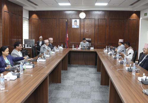 दूरसञ्चार प्राधिकरणको बजार व्यवस्थापन सदस्य पदमा नवराज अधिकारी नियुक्त