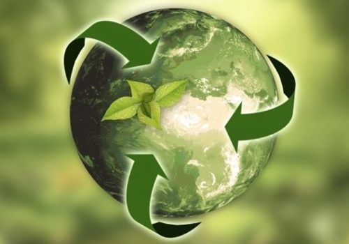 Vietnamese airlines use environmentally-friendly aircraft to realize net-zero emission targets