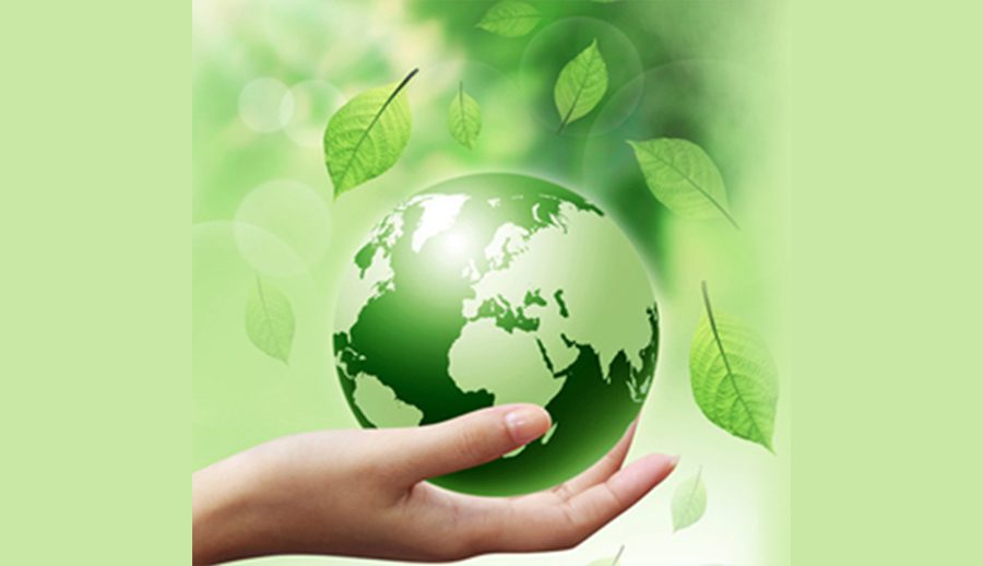 मिथेन ग्यास नियन्त्रणका लागि गाइवस्तुको चमत्कारिक उपचारको खोजी गर्दै वैज्ञानिक