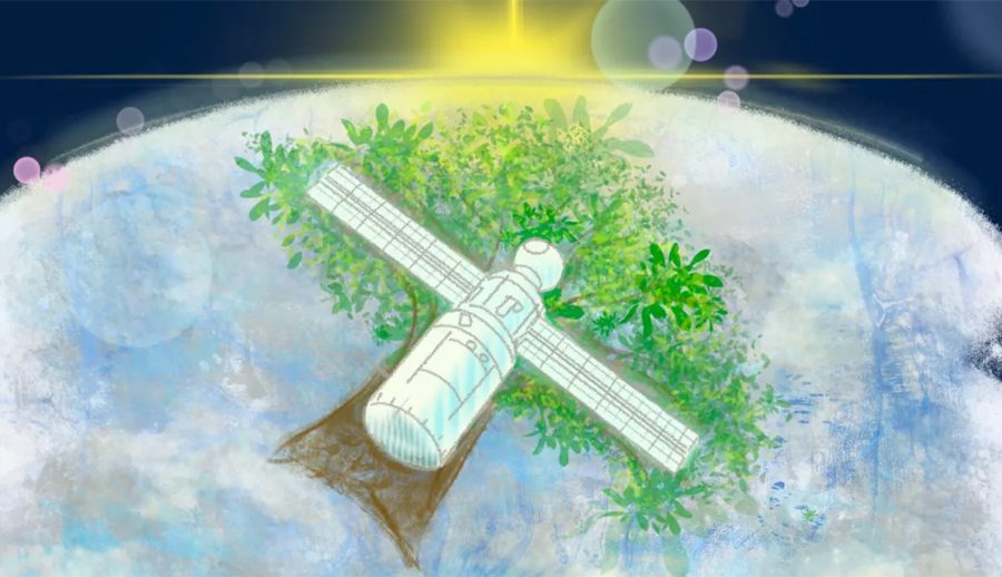 जापानले सन् २०२४ मा काठबाट बनेको भूउपग्रह प्रक्षेपण गर्ने तयारी गर्दै