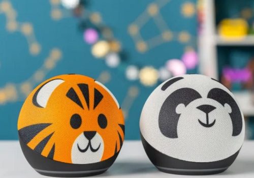 बालबालिकाको गोपनीयता उल्लङ्घन गरेको आरोपमा अमेजन २५ मिलियन डलर तिर्न सहमत