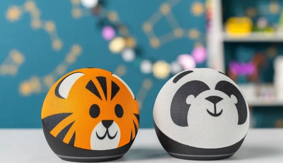 बालबालिकाको गोपनीयता उल्लङ्घन गरेको आरोपमा अमेजन २५ मिलियन डलर तिर्न सहमत