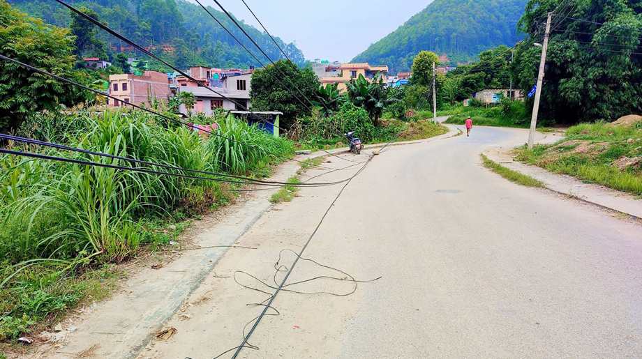 सडकमा लत्रिएको इन्टरनेटको तार