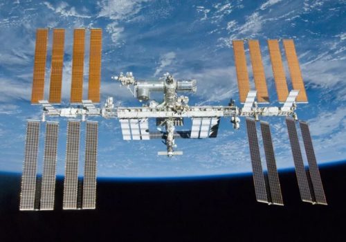 Mouse embryos grown in space for first time: Japan researchers