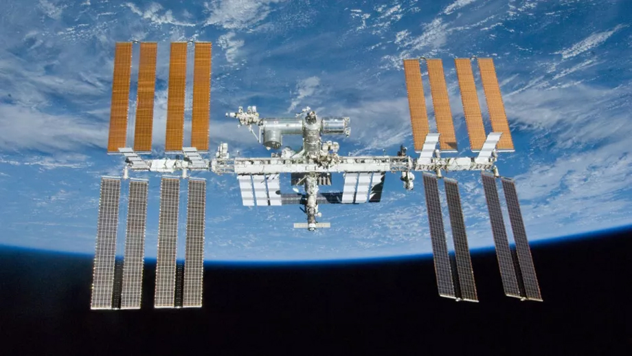 Mouse embryos grown in space for first time: Japan researchers
