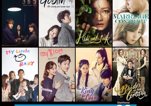 डिशहोम गो एपमा चर्चित कोरियन सिरिजको मेला