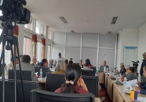 विद्युतीय व्यापार विधेयक व्यावसायी मैत्री नभएको सांसदहरुको भनाई