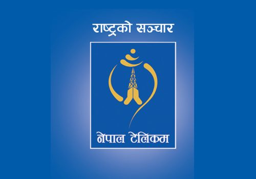 अपडेटः प्राविधिक समस्या देखिएको नेपाल टेलिकमको वेबसाइट चल्न थाल्यो
