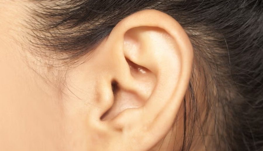 मानिसको दिमागलाई कानको माध्यमबाट कम्प्युटरमा जोड्न डिभाइस निर्माण