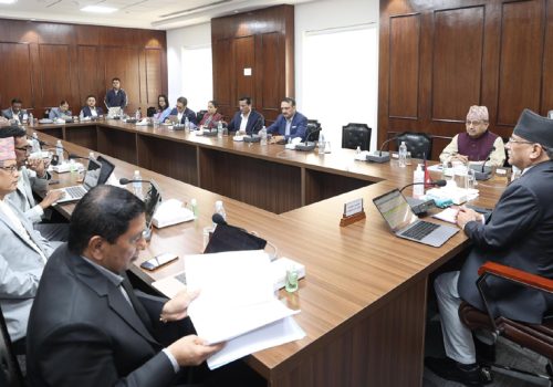 एनसेलको शेयर खरिदबिक्रीको अध्ययन गर्न टंकमणि शर्माको संयोजकत्वमा उच्चस्तरीय अध्ययन तथा छानविन समिति गठन