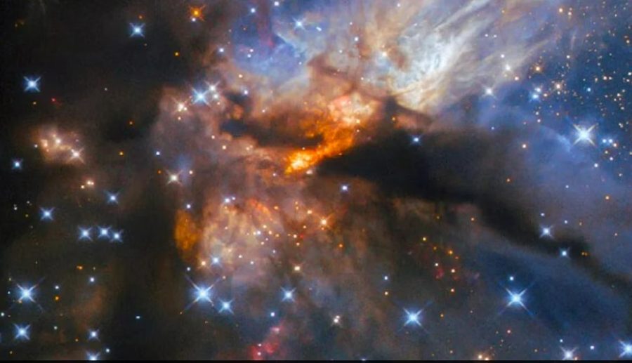 नासाले देखायो ७२०० प्रकाश वर्ष टाढा रहेको नयाँ ताराहरूको बगैंचा!