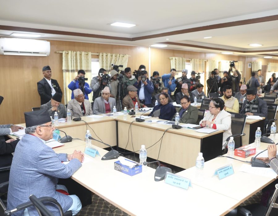 Parliamentary Committee directs for suspending Ncell share transactions