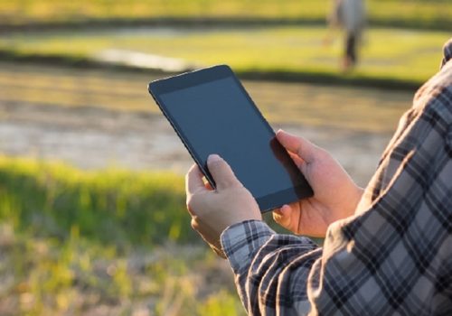 आलुको डिजिटल बीमा गर्न शुरु