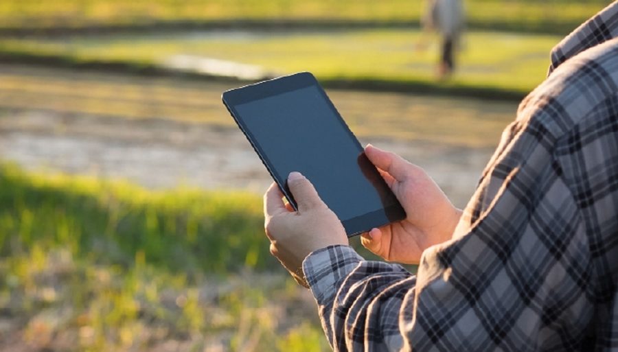 आलुको डिजिटल बीमा गर्न शुरु