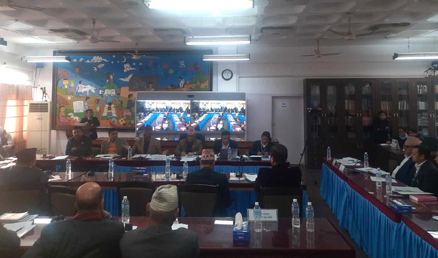 टेरामोसको बारेमा अध्ययन गर्न विज्ञहरूकाे छानबिन समिति बनाउन सांसद बास्काेटाकाे सुझाव