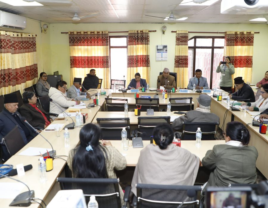 राज्यव्यवस्था समितिमा एनसेल खरिद बिक्री बारे प्रधानमन्त्रीसँग जानकारी लिन सांसदहरुको माग