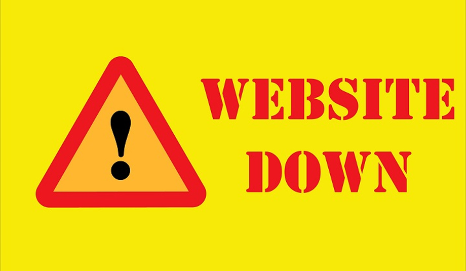 सरकारी वेबसाइटहरुमा समस्या