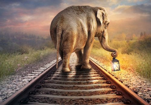 भारतमा ट्रेन ठक्करबाट हात्तीलाई बचाउन ‘गजराज सुरक्षा’ एआई प्रविधिको प्रयोग