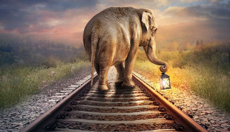 भारतमा ट्रेन ठक्करबाट हात्तीलाई बचाउन ‘गजराज सुरक्षा’ एआई प्रविधिको प्रयोग