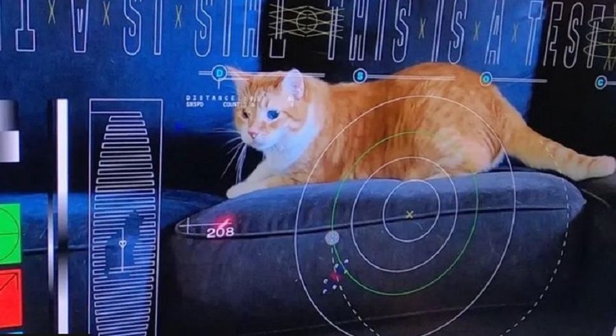 नासाले लेजरको मद्दतले सुदूर अन्तरिक्षबाट प्रशारण गर्यो बिरालोको भिडियो