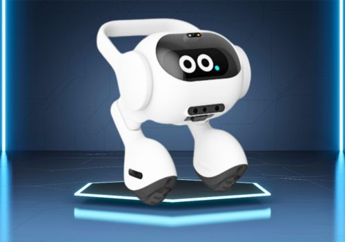 एलजीले घरपालुवा जनावरको हेरचाह गर्ने एआई रोबोट लन्च गर्दै