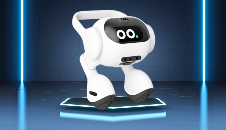 एलजीले घरपालुवा जनावरको हेरचाह गर्ने एआई रोबोट लन्च गर्दै