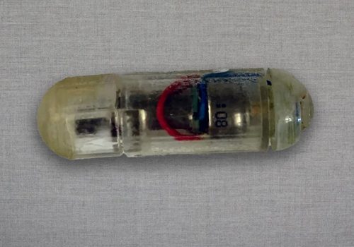 एमआईटीका वैज्ञानिकहरू मोटोपन घटाउने भाइब्रेटिङ क्याप्सुल विकास गर्दै