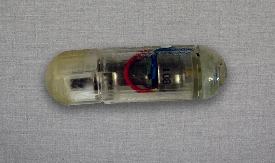 एमआईटीका वैज्ञानिकहरू मोटोपन घटाउने भाइब्रेटिङ क्याप्सुल विकास गर्दै