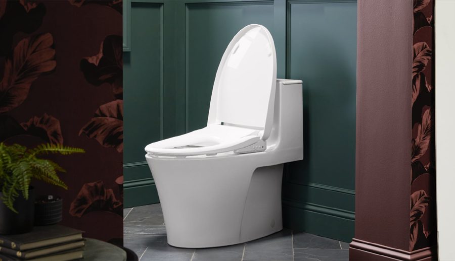 स्मार्टफोन र स्मार्ट टिभीपछि अब आयो स्मार्ट ट्वाइलेट सिट, सबै काम एलेक्साले गर्ने