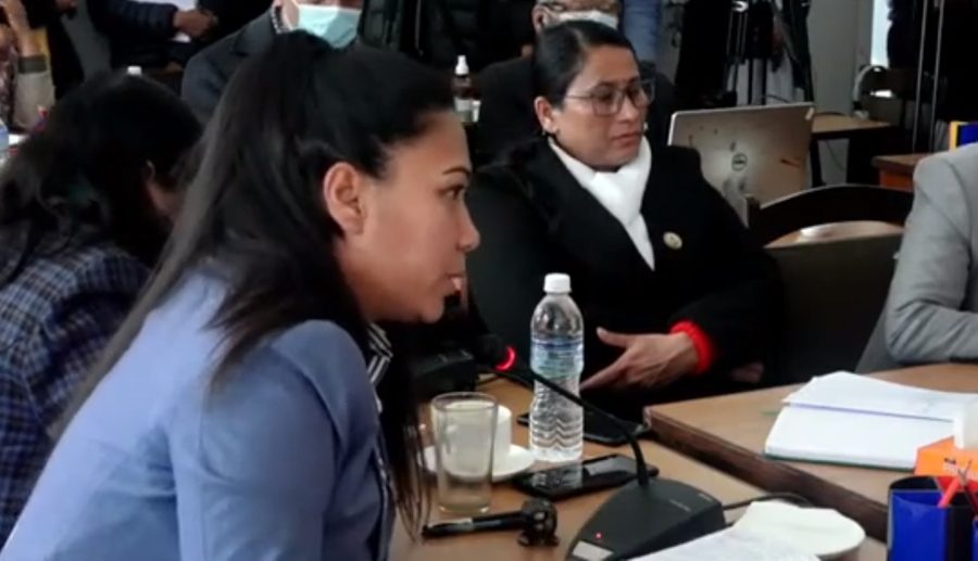 टेरामोस घोटालामा सांसद सुमनाको प्रश्न- हालै राजीनामा दिएका अध्यक्ष देश छोडेर गए के छ प्रावधान ?