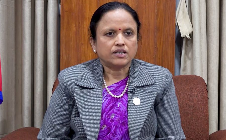 Minister Sharma urges international community to explore investment opportunities in Nepal’s IT sector