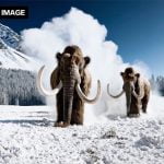 ओपनएआईको नयाँ एआई मोडल ‘सोरा’ ले टेक्स्टबाट भिडियो बनाउने