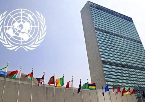 UN Committee adopts convention on cybercrime