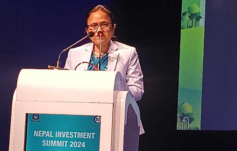 3rd Investment Summit: Information Minister urges investors to take advantage of IT sector