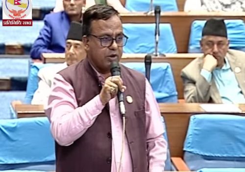 बिवाईडीले कर छलेर एकै महिनामा सयौं इभी भित्र्याएको भन्दै छानबिन गर्न सांसदको माग