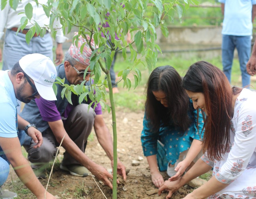 एनसेलसँगको सहकार्यमा ७,७०० बिरुवा रोप्न ‘वान युथ, वान प्लान्ट’ अभियान शुरु
