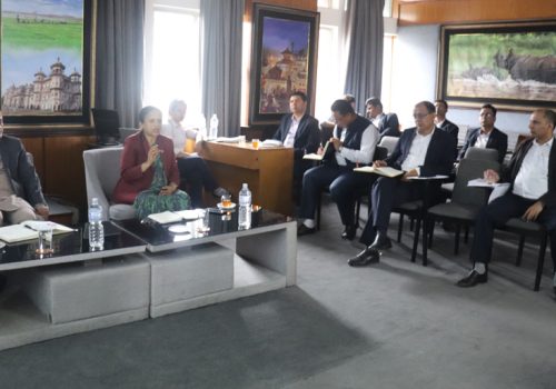 Minister Sharma seeks subordinates’ plans to make IT decade a success