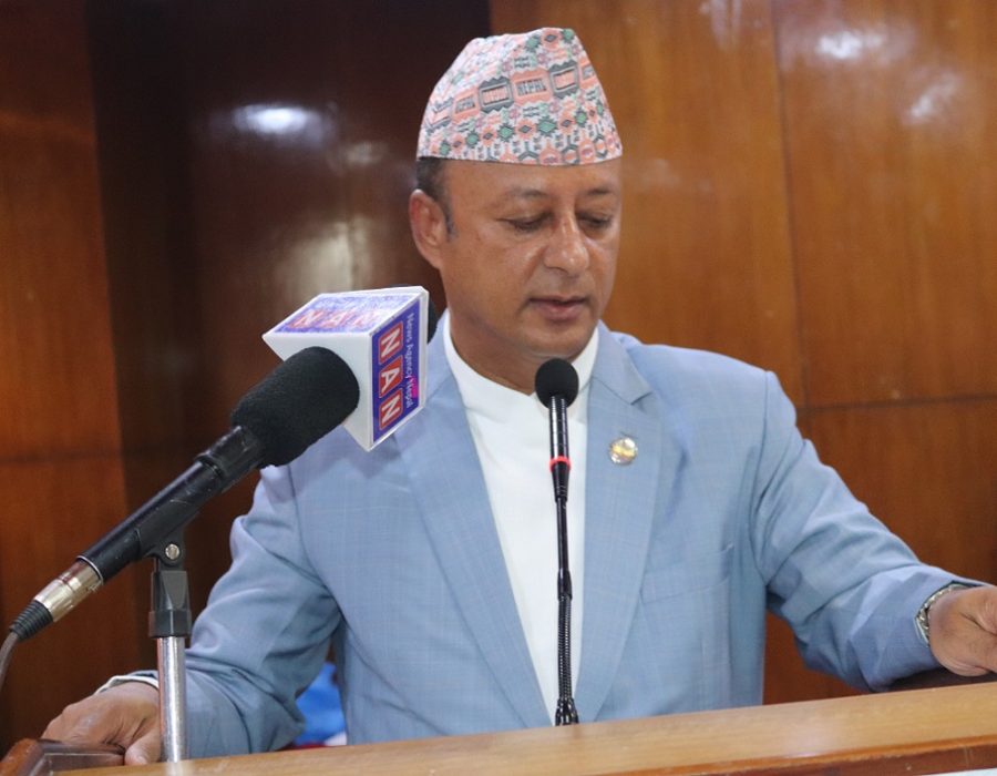 संसदीय समितिलाई ऊर्जा मन्त्रीको आग्रह: ‘डेडिकेटेड’ र ‘ट्रङ्क’ लाइनको महसुल विवाद चाँडो टुङ्ग्याइदिनूस्