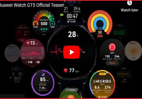 ह्वावेले सार्वजनिक गर्यो ‘ट्रूसेन्स’ हेल्थ मनिटरिङ सिस्टम