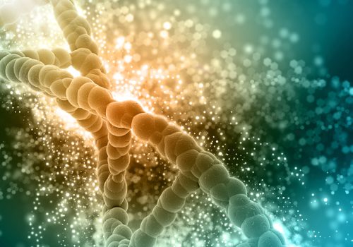 Researchers decode oldest human DNA from SAfrica to date
