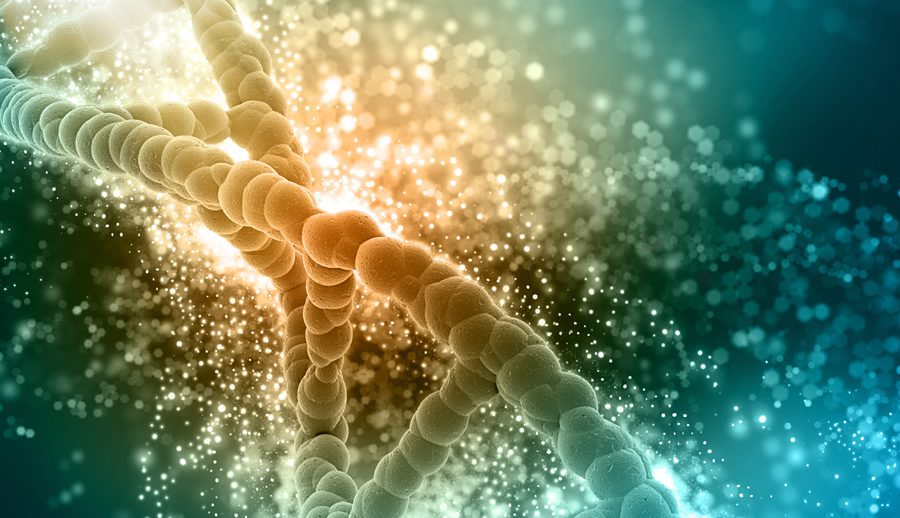 Researchers decode oldest human DNA from SAfrica to date