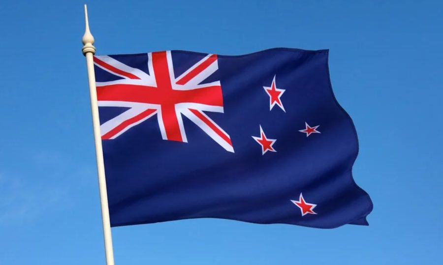 न्युजिल्यान्डका वैज्ञानिकहरूले पत्ता लगाए घोस्ट ‘स्पुकफिस’