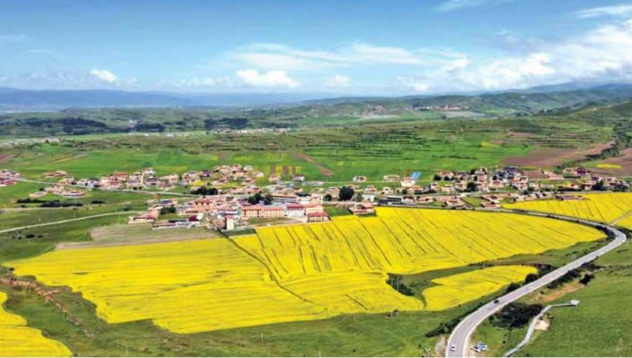 चिनियाँ ग्रामीण विकासमा डिजिटल प्रविधि