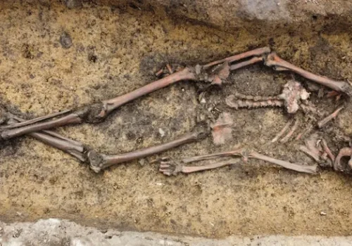 डेनमार्कमा भेटियो दुर्लभ ‘भाइकिङ रथ’मा रहेकी महिलालगायत भाइकिङ युगको ५० जनाको असाधारण समाधि क्षेत्र