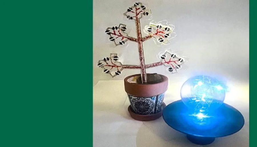 वैज्ञानिक टोलीले बनाएको यो बिरुवाले स्मार्टफोन चार्ज गर्न सक्ने, हावा पनि सफा गर्ने